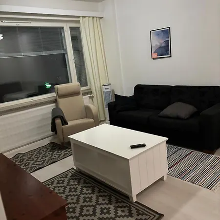 Renovated Handy Spacious 3 For Tourists, Workers And Students * Raumo